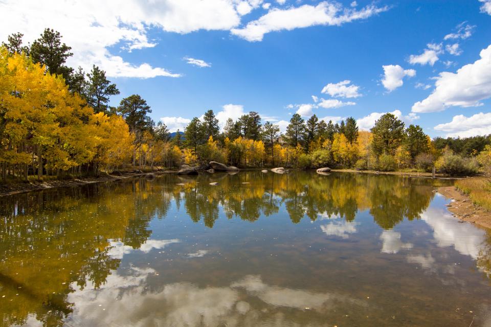 Red Feather Reflections | Shutterbug